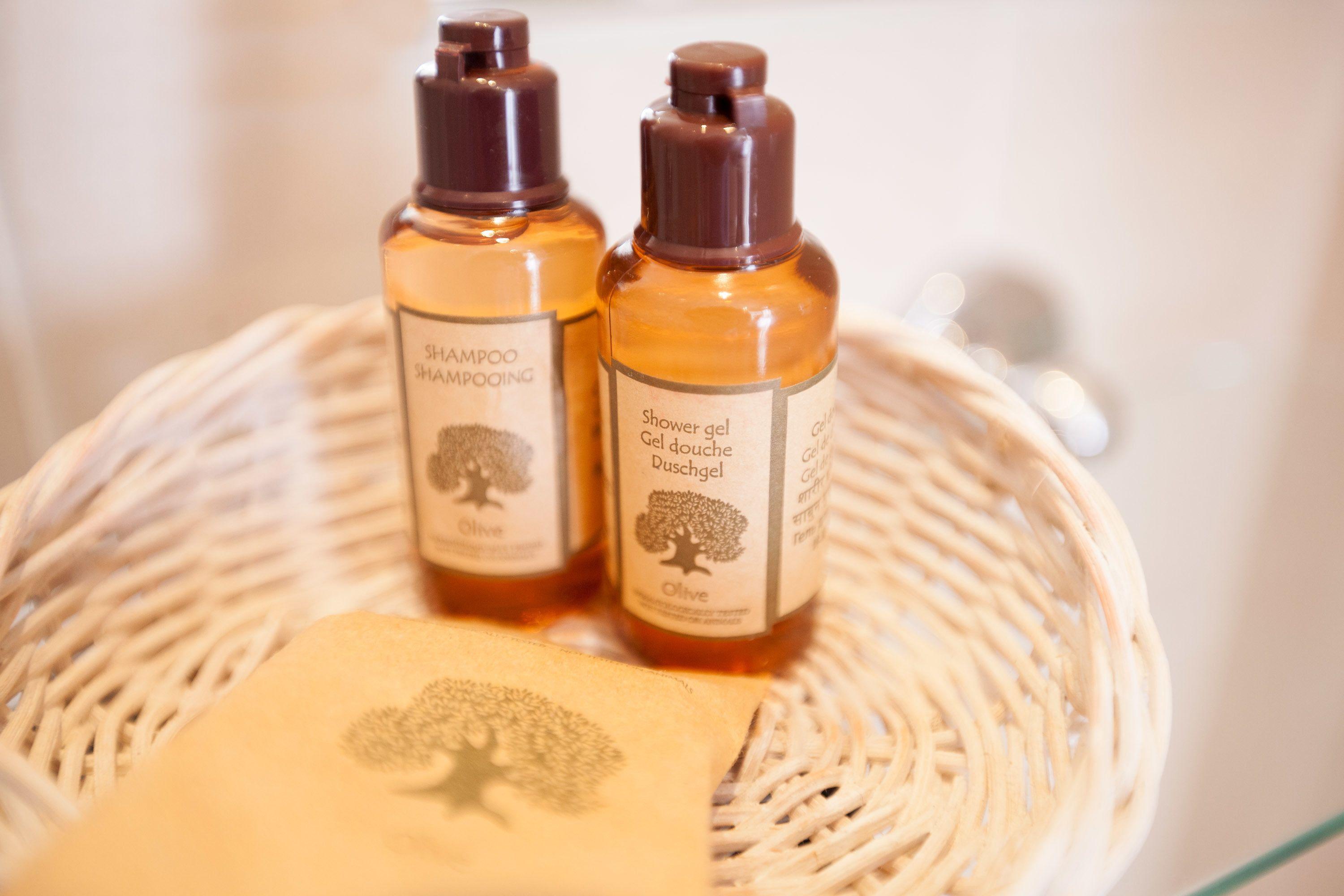 Eiffel Garibaldi Hotel Paris